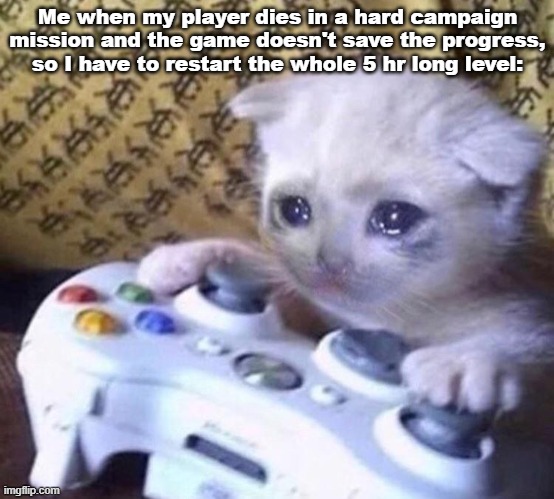 Signs you're sad | Me when my player dies in a hard campaign mission and the game doesn't save the progress, so I have to restart the whole 5 hr long level: | image tagged in sad gamer cat | made w/ Imgflip meme maker