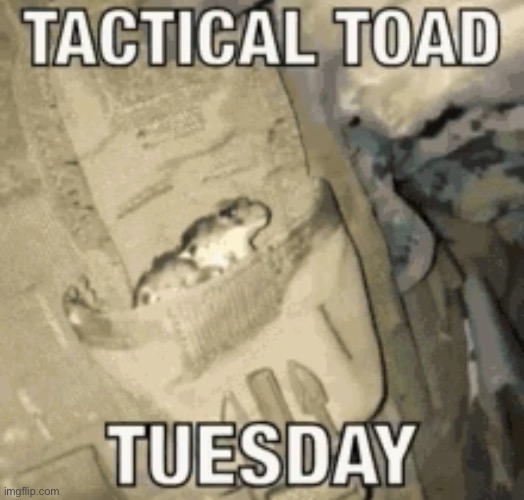 I have 4 minutes to enjoy this (made at 11:56 pm I’m not supposed to be online rn) | made w/ Imgflip meme maker