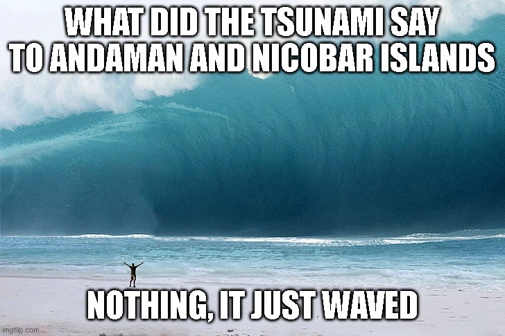tsunami | WHAT DID THE TSUNAMI SAY TO ANDAMAN AND NICOBAR ISLANDS; NOTHING, IT JUST WAVED | image tagged in tsunami | made w/ Imgflip meme maker