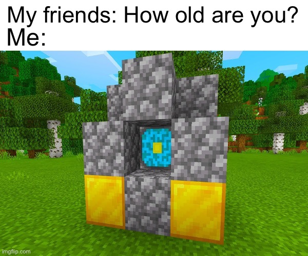 How old am I? | My friends: How old are you? Me: | image tagged in minecraft | made w/ Imgflip meme maker