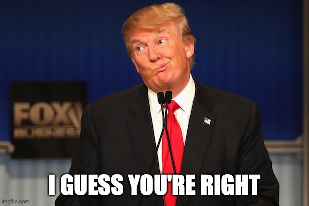 Trump confused | I GUESS YOU'RE RIGHT | image tagged in trump confused | made w/ Imgflip meme maker