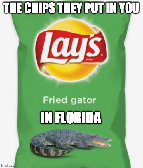 THE CHIPS THEY PUT IN YOU IN FLORIDA | made w/ Imgflip meme maker