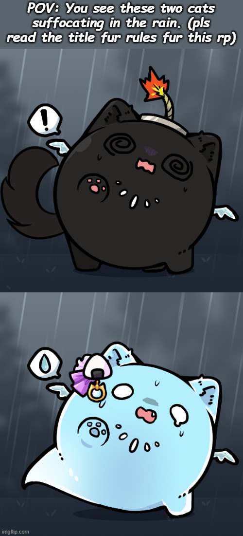 Don't kill them or abandon them, the rp will end. OP OC's allowed, but don't make them too overpowered. | POV: You see these two cats suffocating in the rain. (pls read the title fur rules fur this rp) | made w/ Imgflip meme maker