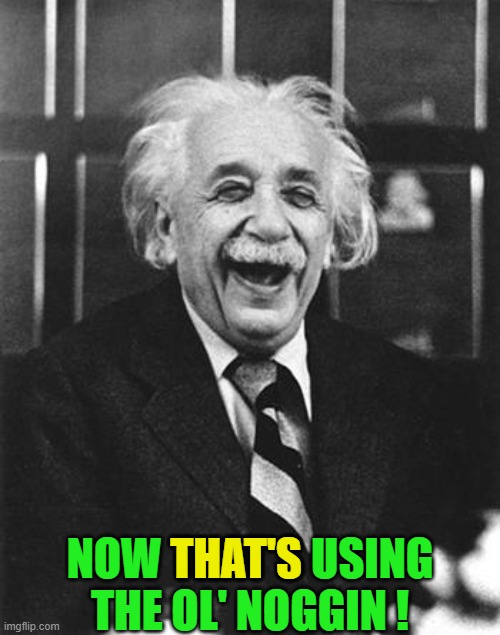 ◄► Reaction: Now that's using the ol' noggin — Einstein | NOW THAT'S USING
THE OL' NOGGIN ! THAT'S | image tagged in einstein laugh,comment,reaction | made w/ Imgflip meme maker