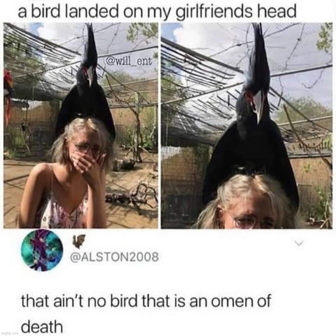 yikers | image tagged in omen of death,repost,twitter,wot,death,yikers | made w/ Imgflip meme maker
