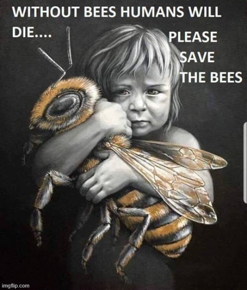 Save the Bees | image tagged in bumblebee | made w/ Imgflip meme maker