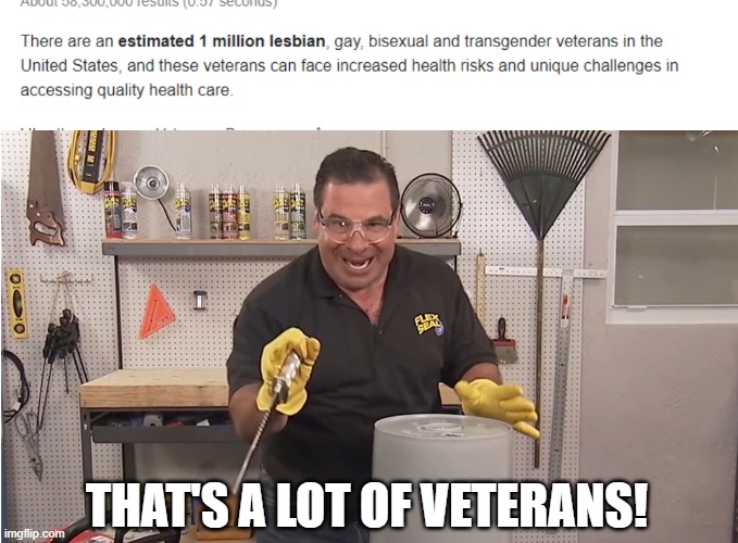 THAT'S A LOT OF VETERANS! | image tagged in phil swift that's a lotta damage flex tape/seal | made w/ Imgflip meme maker