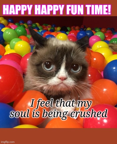 Grumpycat does not approve | HAPPY HAPPY FUN TIME! I feel that my soul is being crushed | image tagged in grumpy cat,rules | made w/ Imgflip meme maker