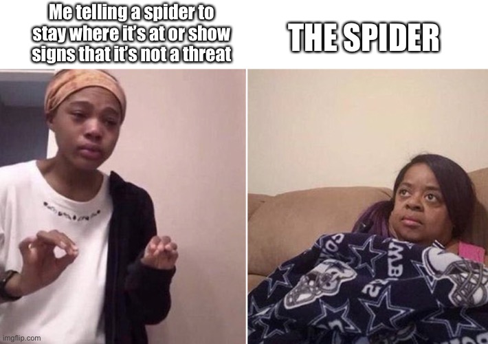 Life with a fear of spiders | Me telling a spider to stay where it’s at or show signs that it’s not a threat; THE SPIDER | image tagged in me explaining to my mom | made w/ Imgflip meme maker