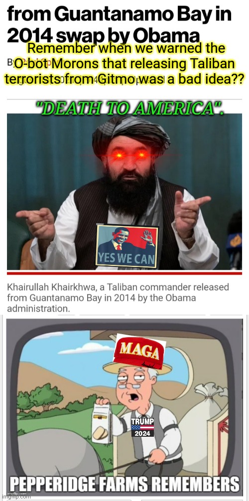 Remember that Moron Obama? | Remember when we warned the O-bot Morons that releasing Taliban terrorists from Gitmo was a bad idea?? "DEATH TO AMERICA". | image tagged in thanks obama,communist,lovers,democrat,muslim advice,morons | made w/ Imgflip meme maker