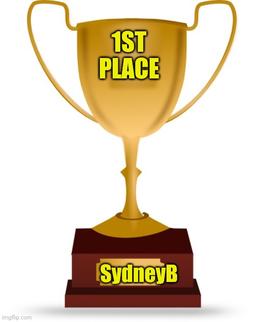 Blank Trophy | 1ST
PLACE SydneyB | image tagged in blank trophy | made w/ Imgflip meme maker