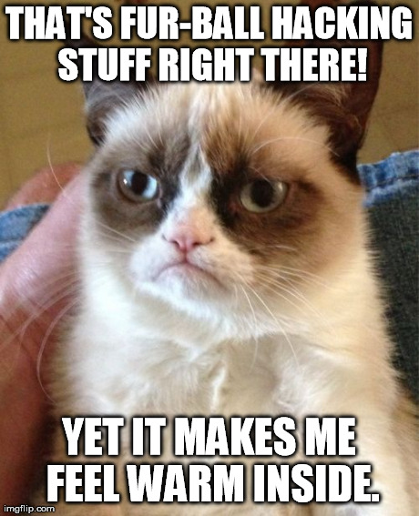 Grumpy Cat Meme | THAT'S FUR-BALL HACKING STUFF RIGHT THERE! YET IT MAKES ME FEEL WARM INSIDE. | image tagged in memes,grumpy cat | made w/ Imgflip meme maker