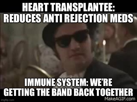 Immune system improves | HEART TRANSPLANTEE: REDUCES ANTI REJECTION MEDS; IMMUNE SYSTEM: WE’RE GETTING THE BAND BACK TOGETHER | image tagged in getting the band back together,transplant,heart,infection,rejection | made w/ Imgflip meme maker