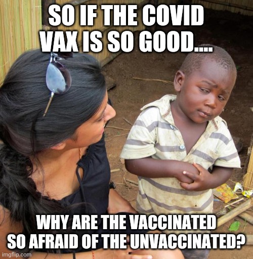 3rd World Sceptical Child | SO IF THE COVID VAX IS SO GOOD.... WHY ARE THE VACCINATED SO AFRAID OF THE UNVACCINATED? | image tagged in 3rd world sceptical child | made w/ Imgflip meme maker