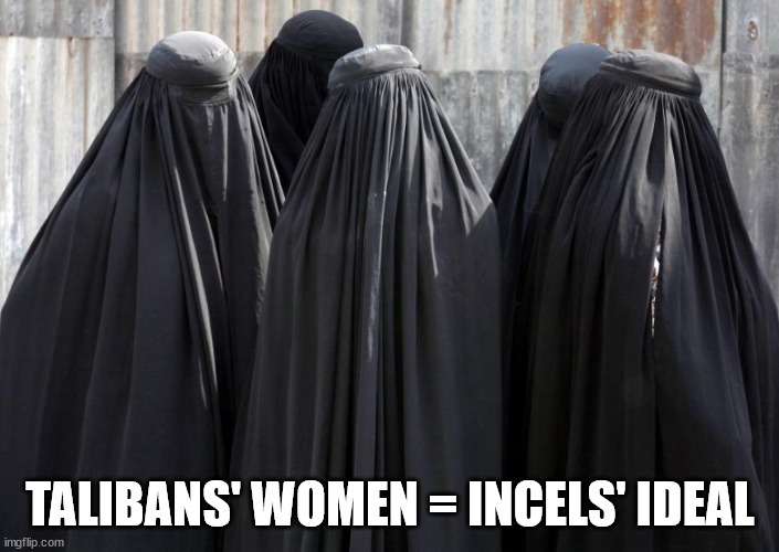 Incel ideal | TALIBANS' WOMEN = INCELS' IDEAL | image tagged in burkhas,taliban,incel,funny,fun,funny meme | made w/ Imgflip meme maker
