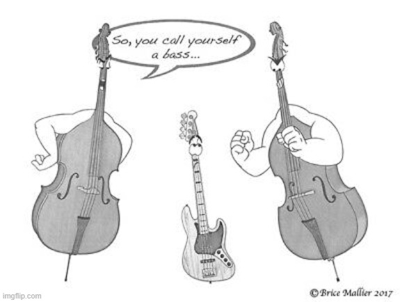 If Your Guitars Could Talk | image tagged in memes,comics,you,call,yourself,bass | made w/ Imgflip meme maker