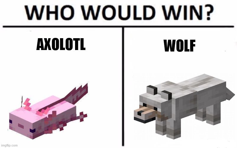 Who will win axolotl or wolf | AXOLOTL; WOLF | image tagged in memes,who would win,minecraft | made w/ Imgflip meme maker
