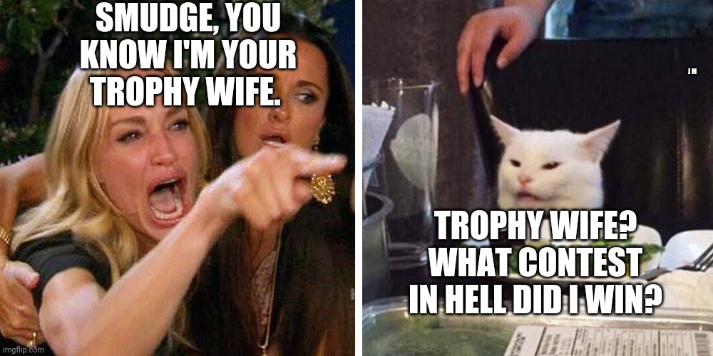 Smudge the cat | SMUDGE, YOU KNOW I'M YOUR TROPHY WIFE. J M; TROPHY WIFE? WHAT CONTEST IN HELL DID I WIN? | image tagged in smudge the cat | made w/ Imgflip meme maker