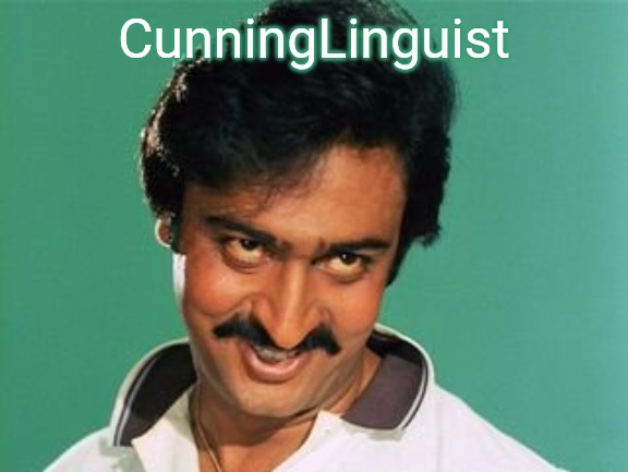 pervert look | CunningLinguist | image tagged in pervert look | made w/ Imgflip meme maker