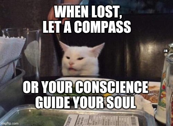 Salad cat | WHEN LOST, LET A COMPASS; J M; OR YOUR CONSCIENCE GUIDE YOUR SOUL | image tagged in salad cat | made w/ Imgflip meme maker