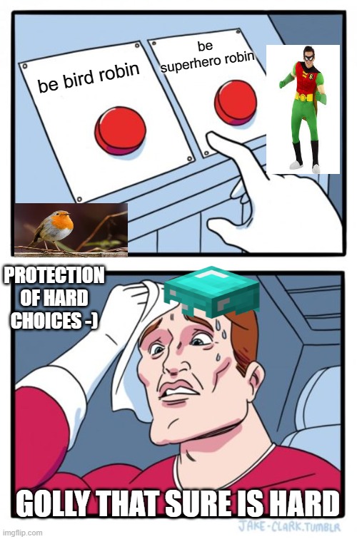 Two Buttons | be superhero robin; be bird robin; PROTECTION OF HARD CHOICES -); GOLLY THAT SURE IS HARD | image tagged in memes,two buttons | made w/ Imgflip meme maker