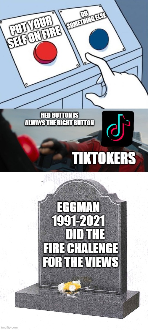 tiktok's fire chalenge in the nutshell | DO SOMETHING ELSE; PUT YOUR SELF ON FIRE; RED BUTTON IS ALWAYS THE RIGHT BUTTON; TIKTOKERS; EGGMAN   1991-2021       DID THE FIRE CHALENGE FOR THE VIEWS | image tagged in robotnik button,tiktok sucks,egg | made w/ Imgflip meme maker