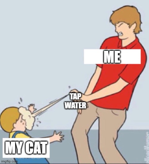 Baby Repellent | ME; TAP
WATER; MY CAT | image tagged in baby repellent,cat,funny memes,relatable | made w/ Imgflip meme maker