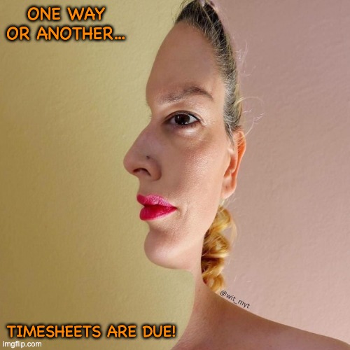 HALF WOMAN TIMESHEET REMINDER | ONE WAY OR ANOTHER... TIMESHEETS ARE DUE! | image tagged in half woman timesheet reminder,funny meme,timesheet reminder,timesheet meme,one way or another | made w/ Imgflip meme maker