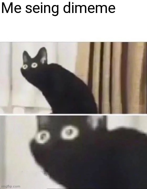 Oh No Black Cat | Me seing dimeme | image tagged in oh no black cat | made w/ Imgflip meme maker