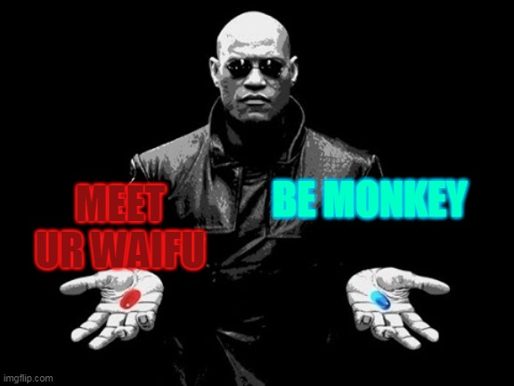  BE MONKEY; MEET UR WAIFU | image tagged in matrix pill prime | made w/ Imgflip meme maker