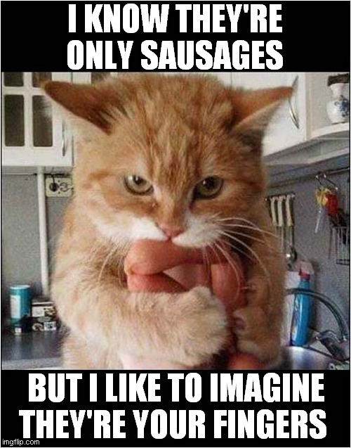 Dreaming Of Inflicting Pain ! | I KNOW THEY'RE ONLY SAUSAGES; BUT I LIKE TO IMAGINE THEY'RE YOUR FINGERS | image tagged in cats,biting,sausages,fingers,pain | made w/ Imgflip meme maker