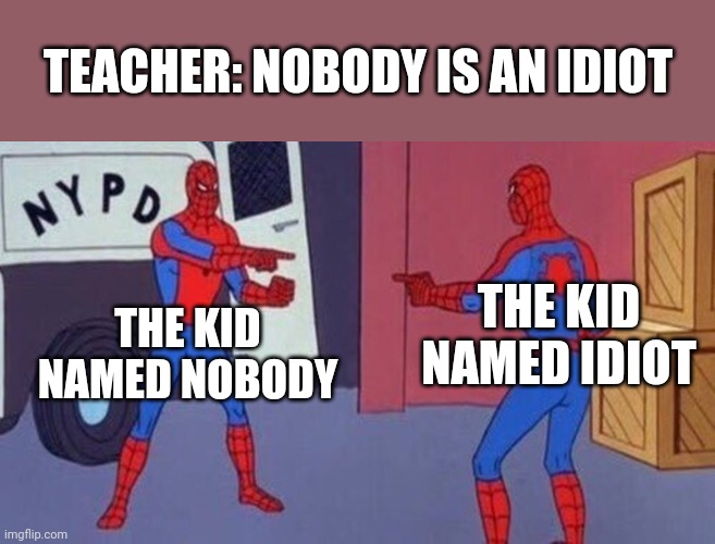 Spiderman pointing at spiderman | TEACHER: NOBODY IS AN IDIOT; THE KID NAMED IDIOT; THE KID NAMED NOBODY | image tagged in spiderman pointing at spiderman | made w/ Imgflip meme maker