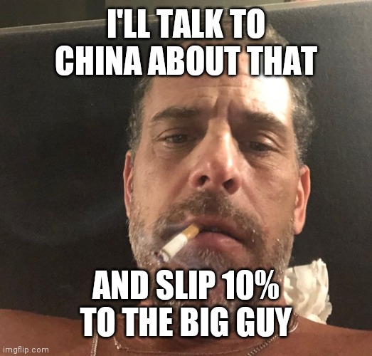 Hunter Biden | I'LL TALK TO CHINA ABOUT THAT AND SLIP 10% TO THE BIG GUY | image tagged in hunter biden | made w/ Imgflip meme maker
