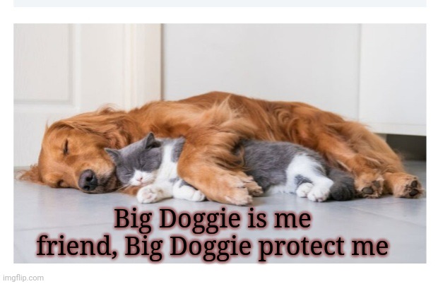 Big Doggie is me friend, Big Doggie protect me | image tagged in stranger things,cute cat | made w/ Imgflip meme maker