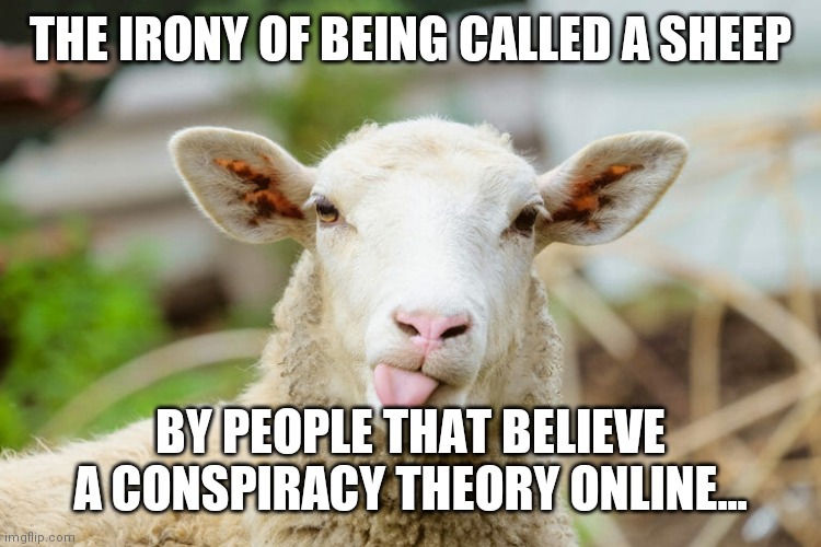 Sheep | THE IRONY OF BEING CALLED A SHEEP; BY PEOPLE THAT BELIEVE A CONSPIRACY THEORY ONLINE... | image tagged in sheep | made w/ Imgflip meme maker