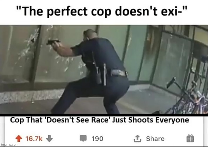 Perfection. | image tagged in perfection | made w/ Imgflip meme maker