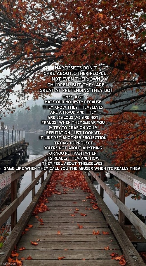 narcissists exploit their families | THEY JUST HATE OUR HONESTY BECAUSE THEY KNOW THEY THEMSELVES ARE A FRAUD AND THEY ARE JEALOUS WE ARE NOT FRAUDS. WHEN THEY SMEAR YOU & TRY TO CRAP ON YOUR REPUTATION  JUST LOOK AT IT LIKE YET ANOTHER PROJECTION
 TRYING TO PROJECT YOU'RE NOT ABOUT ANYTHING OR YOU'RE TRASH WHEN ITS REALLY THEM AND HOW THEY FEEL ABOUT THEMSELVES! SAME LIKE WHEN THEY CALL YOU THE ABUSER WHEN ITS REALLY THEM. NARCISSISTS DON'T CARE ABOUT OTHER PEOPLE, NOT EVEN THEIR OWN CHILDREN, BUT THEY ARE GREAT AT PRETENDING THEY DO! | image tagged in explosions,explosion,malignant narcissism,sexual narcissist | made w/ Imgflip meme maker