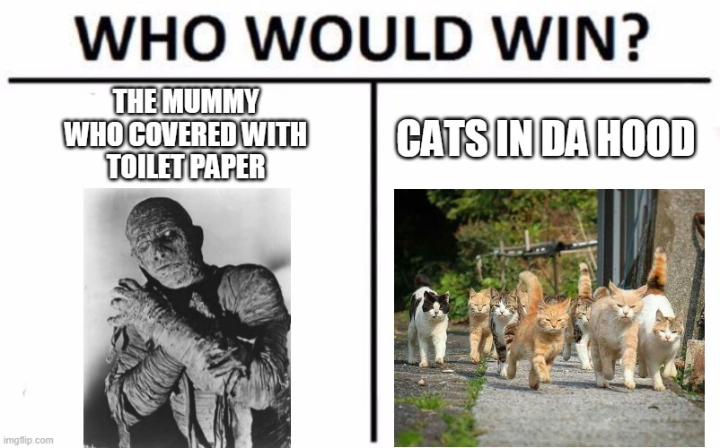 place your bets | THE MUMMY
WHO COVERED WITH
TOILET PAPER; CATS IN DA HOOD | image tagged in memes,who would win,the mummy,cats | made w/ Imgflip meme maker