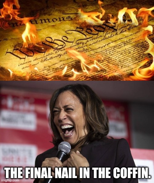 You thought things were bad now, wait til Joe is removed. | THE FINAL NAIL IN THE COFFIN. | image tagged in memes | made w/ Imgflip meme maker