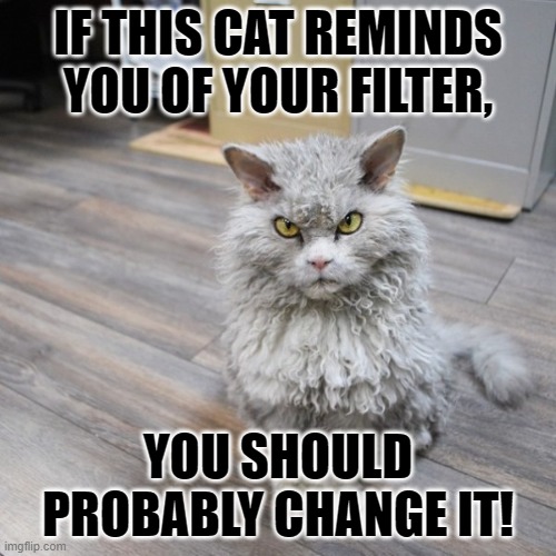 HVAC CAT | IF THIS CAT REMINDS YOU OF YOUR FILTER, YOU SHOULD PROBABLY CHANGE IT! | image tagged in bad joke cat | made w/ Imgflip meme maker