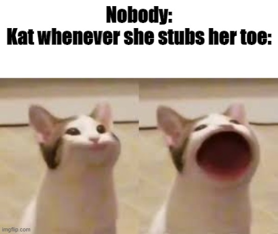 Pop Cat | Nobody:
Kat whenever she stubs her toe: | image tagged in pop cat | made w/ Imgflip meme maker