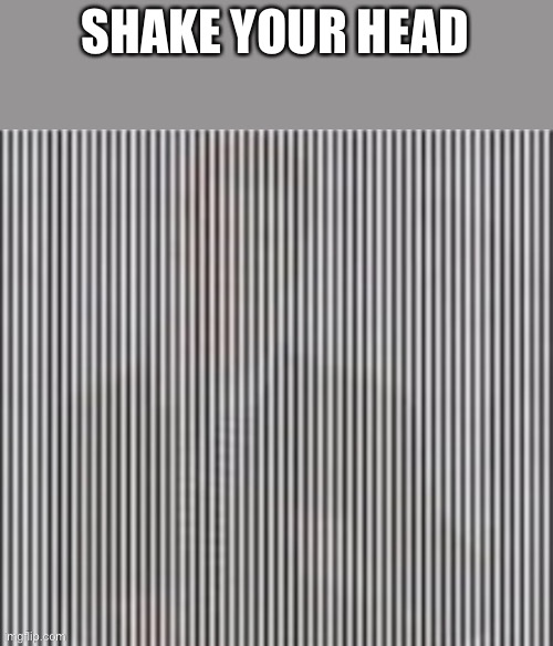 Shake you head while looking at it | SHAKE YOUR HEAD | image tagged in rickrolled | made w/ Imgflip meme maker