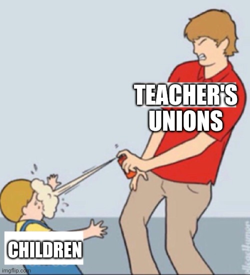 Teacher's Unions hurt Children | TEACHER'S UNIONS; CHILDREN | image tagged in baby repellent,union,teachers,face mask | made w/ Imgflip meme maker