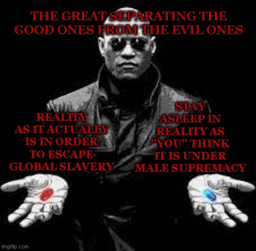 just how deep is the rabbit hole | STAY ASLEEP IN REALITY AS "YOU" THINK IT IS UNDER MALE SUPREMACY; THE GREAT SEPARATING THE GOOD ONES FROM THE EVIL ONES; REALITY AS IT ACTUALLY IS IN ORDER TO ESCAPE GLOBAL SLAVERY | image tagged in sheeple,in a nutshell,sheep | made w/ Imgflip meme maker