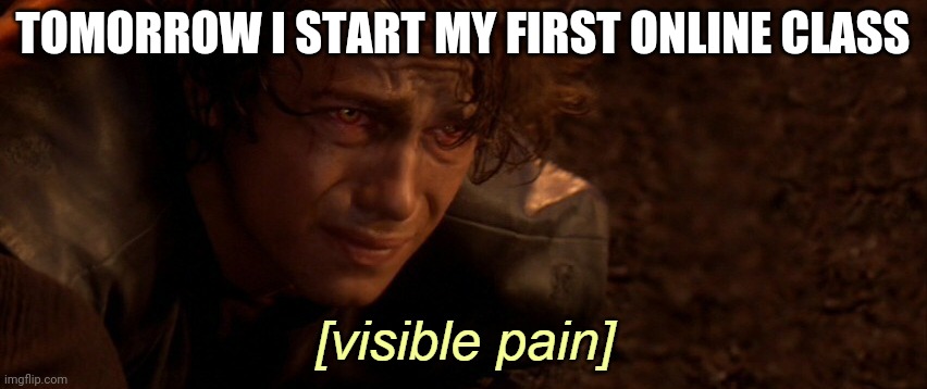 .-. | TOMORROW I START MY FIRST ONLINE CLASS | image tagged in visible pain | made w/ Imgflip meme maker