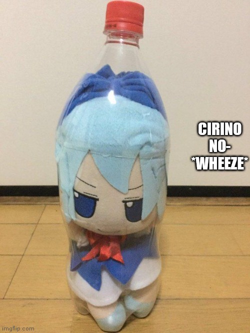 cirno fumo in bottle | CIRINO NO- *WHEEZE* | image tagged in cirno fumo in bottle | made w/ Imgflip meme maker
