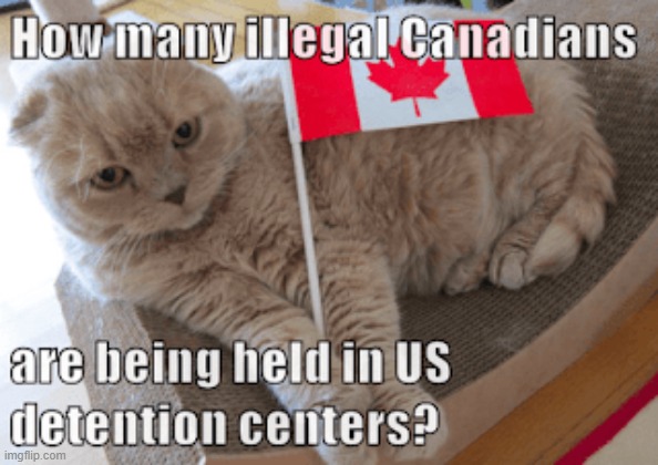 How many illegal Canadians are being held in US detention centers? | image tagged in illegal immigration,illegal aliens,canada,mexico | made w/ Imgflip meme maker