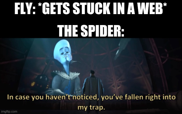 Megamind trap template | FLY: *GETS STUCK IN A WEB*; THE SPIDER: | image tagged in megamind trap template | made w/ Imgflip meme maker