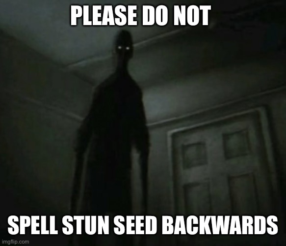 No | PLEASE DO NOT; SPELL STUN SEED BACKWARDS | image tagged in no | made w/ Imgflip meme maker