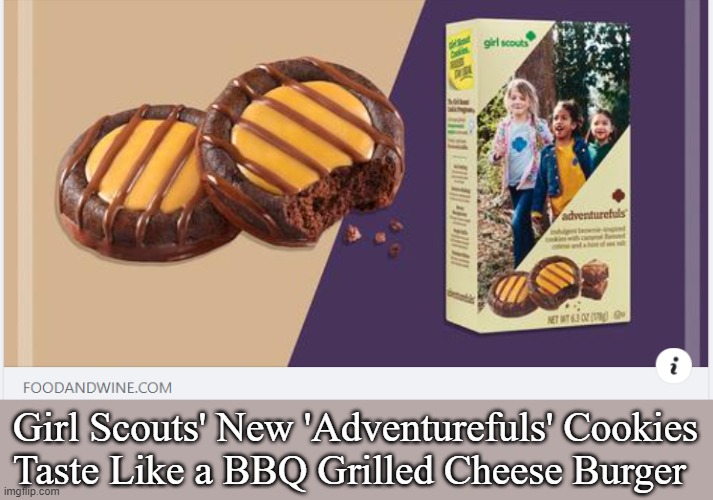 New GirlScout cookie flavor | Girl Scouts' New 'Adventurefuls' Cookies 
Taste Like a BBQ Grilled Cheese Burger | image tagged in food,cookies | made w/ Imgflip meme maker